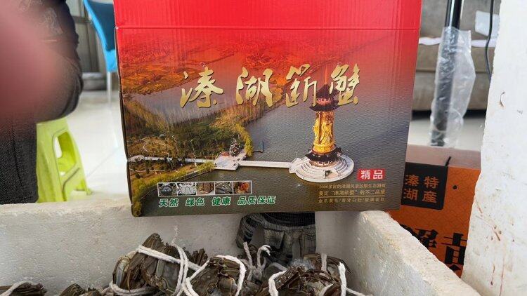 5TdMYpZdxZIwUr6qVsjVNMCYkdcaBZuv-1