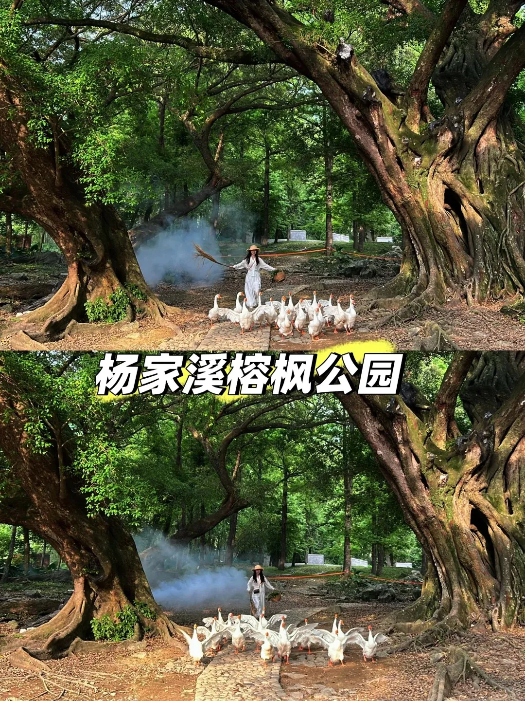 5a21cbe5e204f4a4fb8b8c8f3d787259-sz_804585 5a21cbe5e204f4a4fb8b8c8f3d787259-sz_804585