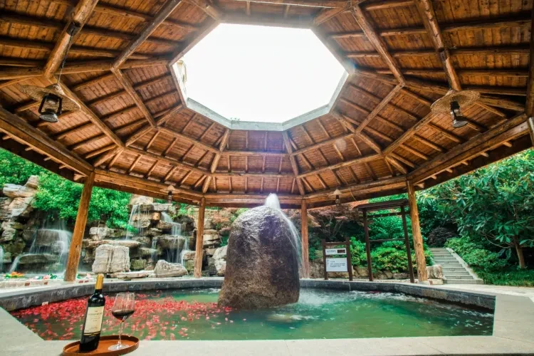 5a895bbf34200ab8ee9b6aa9ccdcfb09-sz_2876119