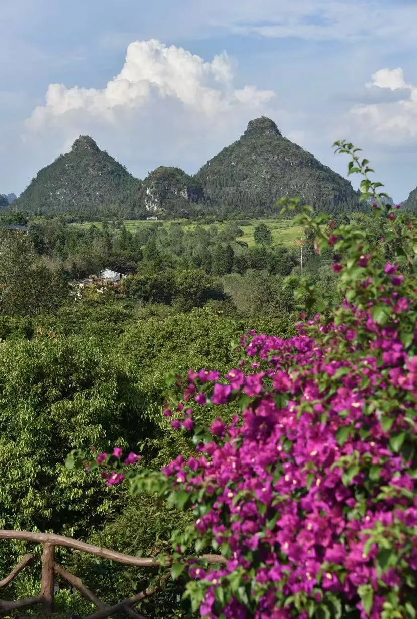 5aa4db80dfcf013a1553f1a3a4385078-sz_2438715 5aa4db80dfcf013a1553f1a3a4385078-sz_2438715