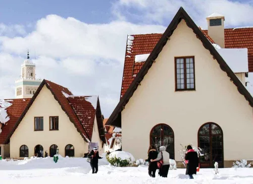 5aac8b9390206ce8424f101e70e570d4-sz_309869