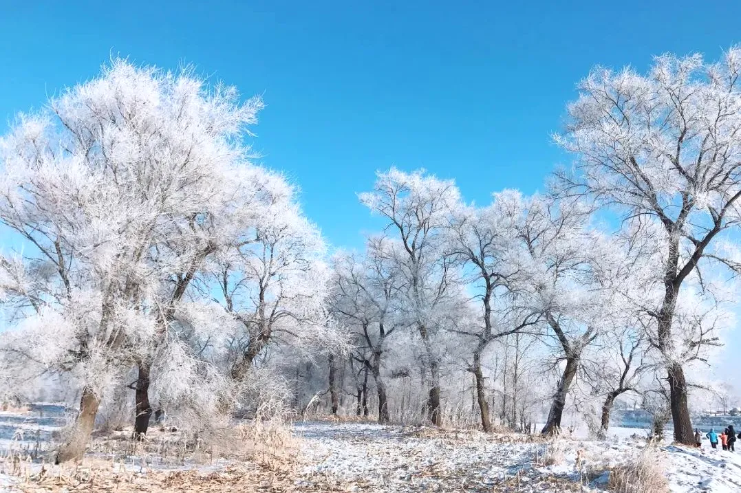 5acf16e3628aea0ecf120b96cd51d269-sz_229639