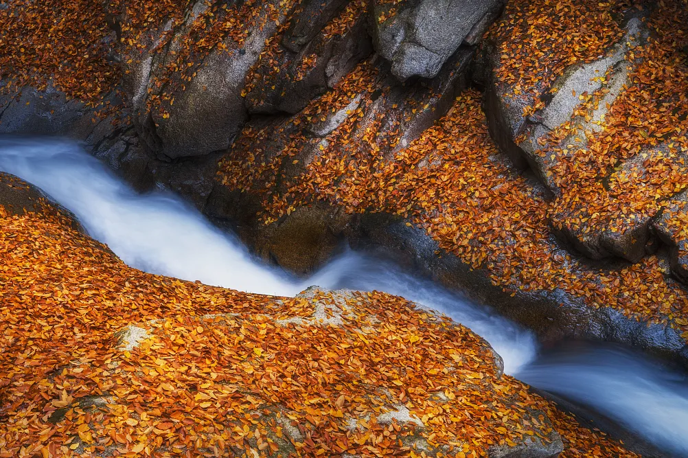 5af1c88830d15f9d024fcf72368e7162-sz_1840710