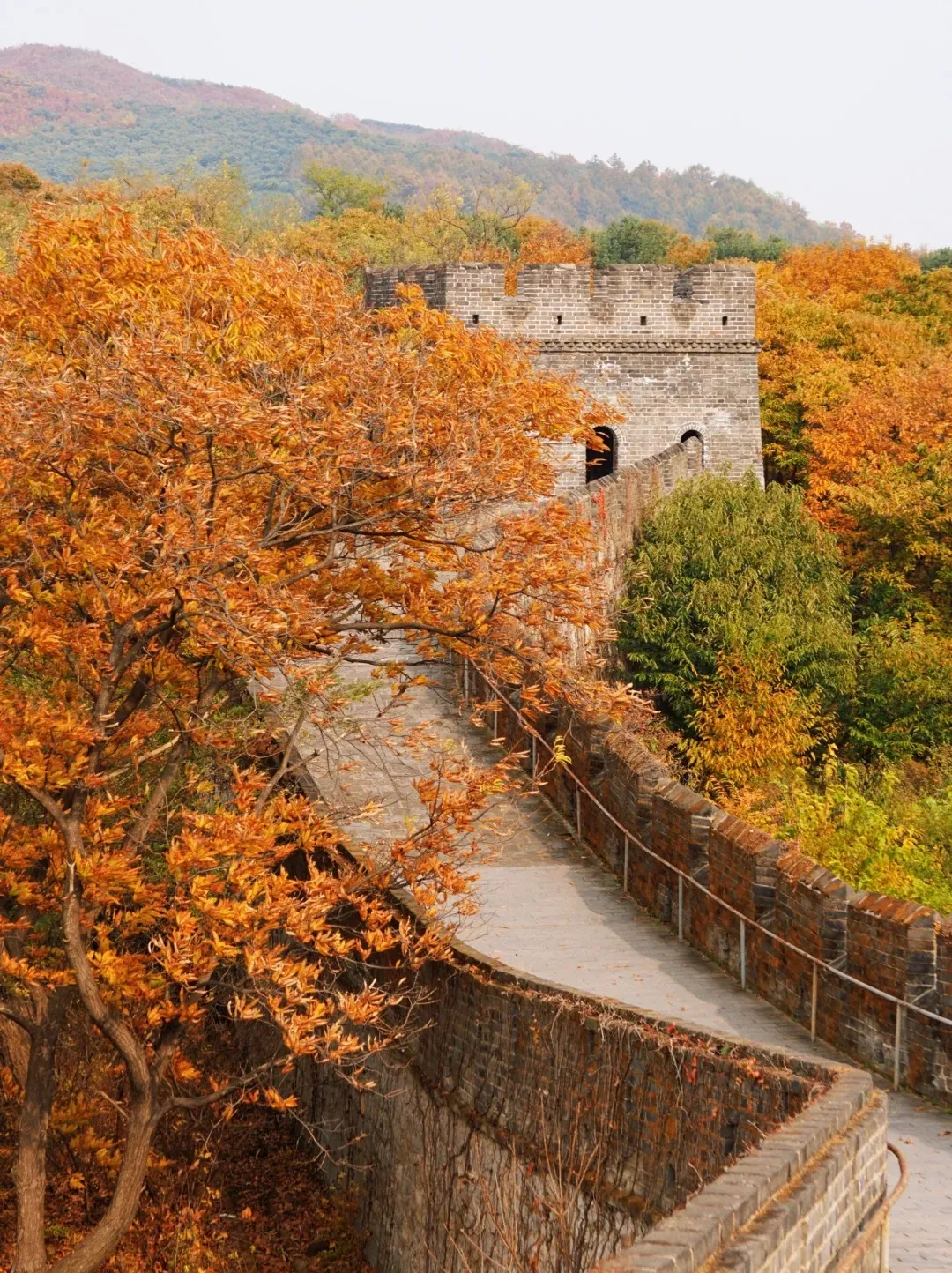 5b0879c2d733c4afcff530f43b67c439-sz_681719