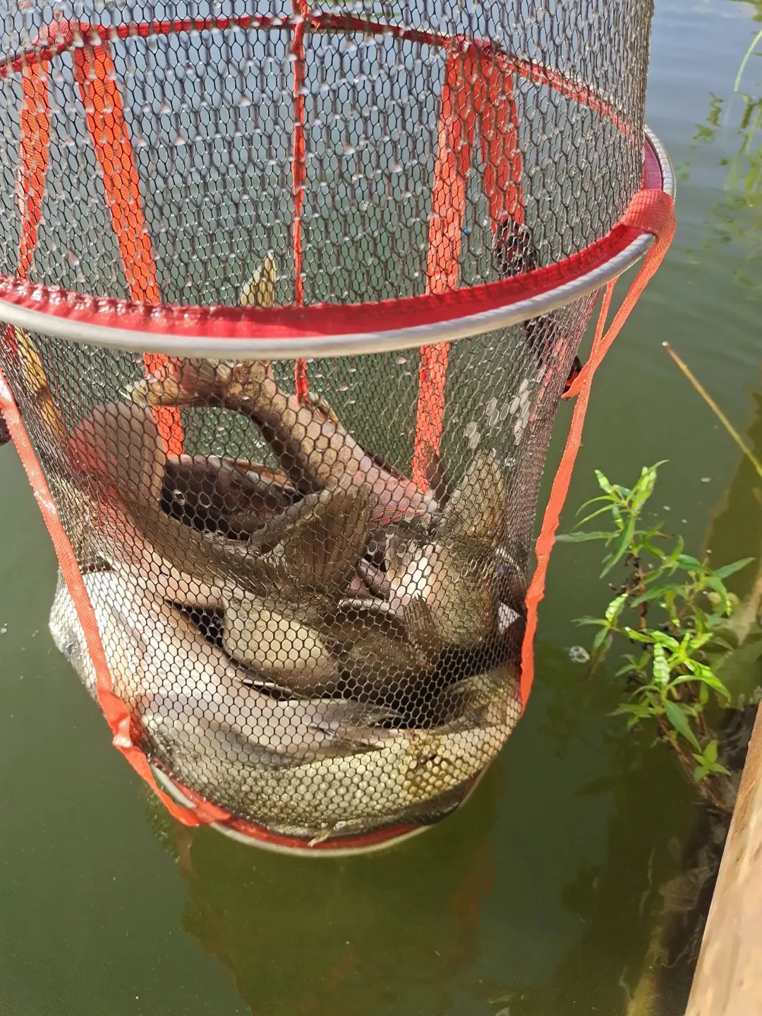 5b218b33bbad9558f2abce77244f2bd4-sz_925841