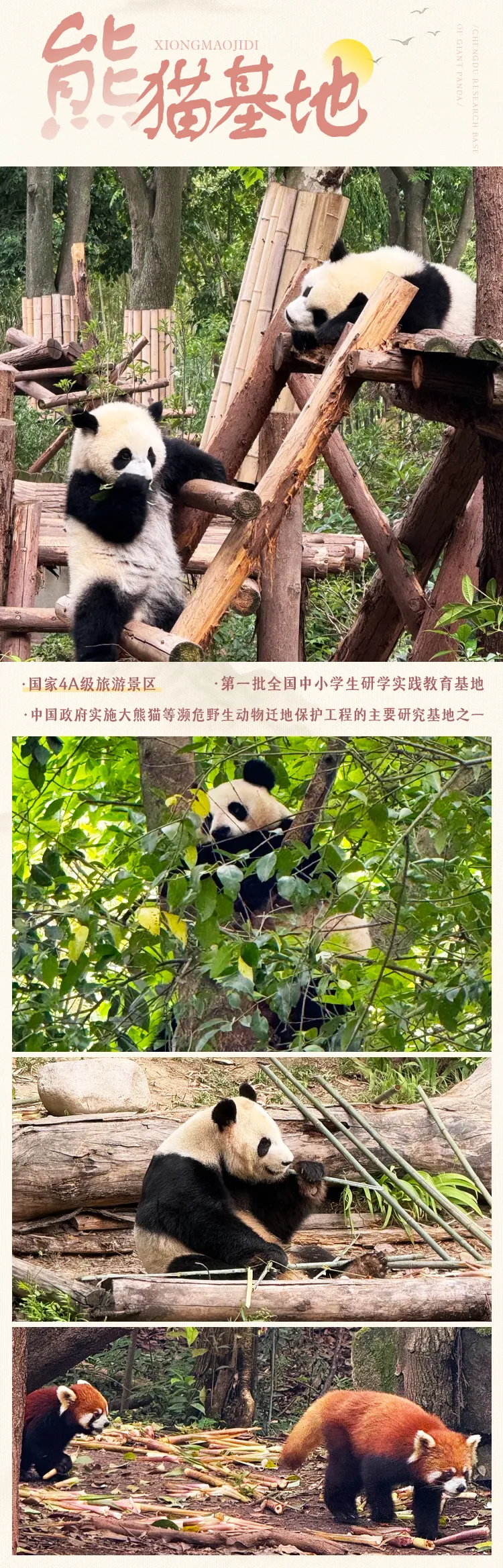 5b3b50440071be6bfbcf2a6ba3a4f3a4-sz_2042107-1 5b3b50440071be6bfbcf2a6ba3a4f3a4-sz_2042107-1