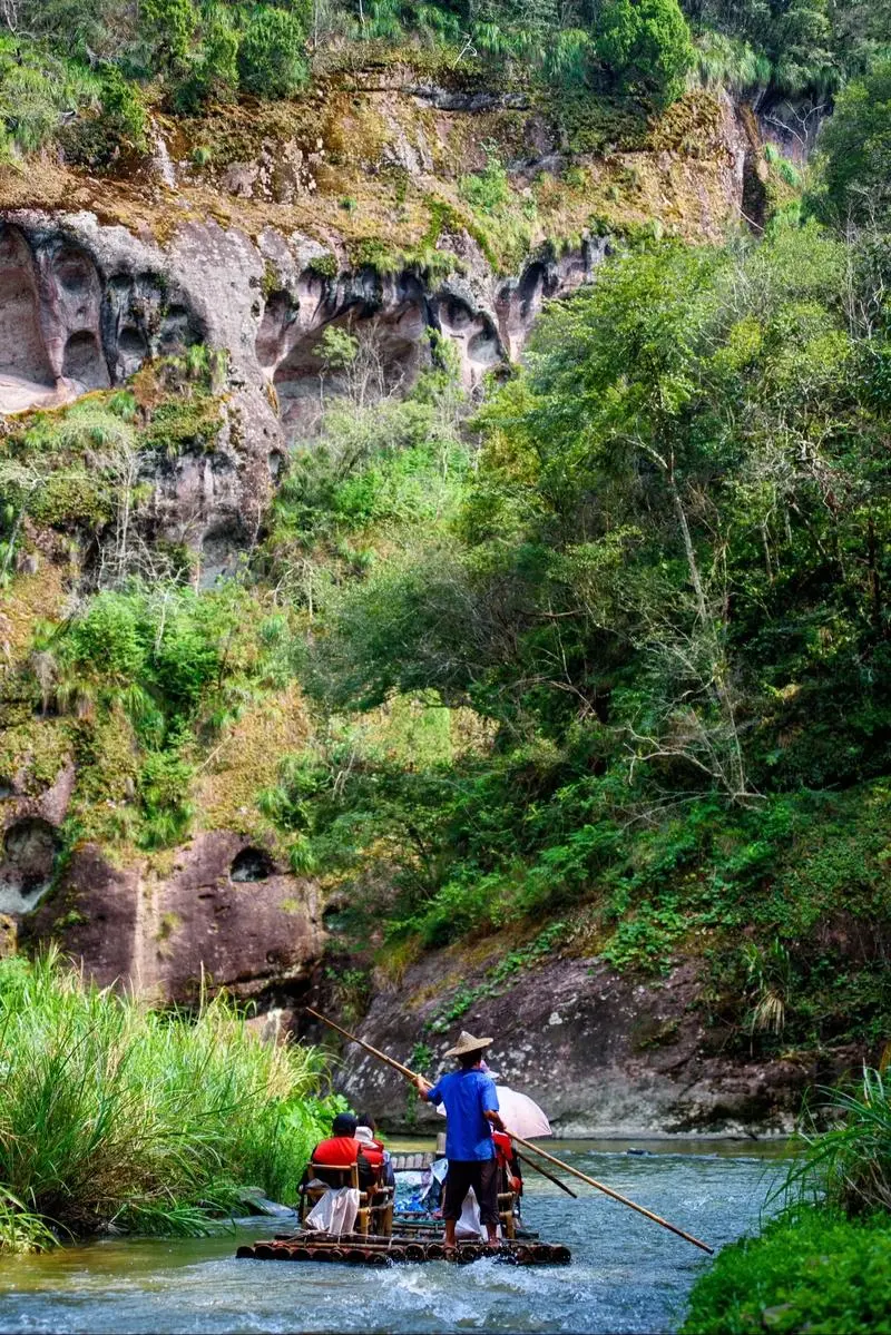 5b6e899c1b72d9cab99276a03313a171-sz_292595