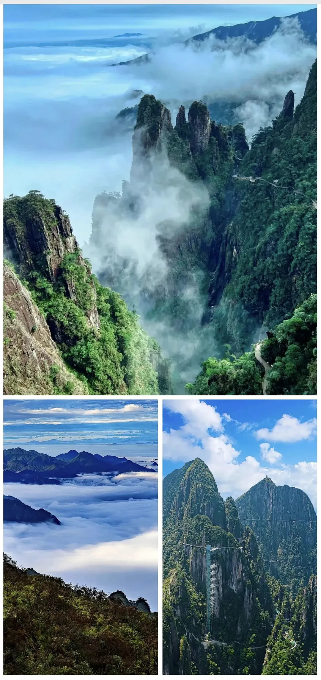 5b94ab3bc8f984bd051f34f3ae4b3688-sz_453595