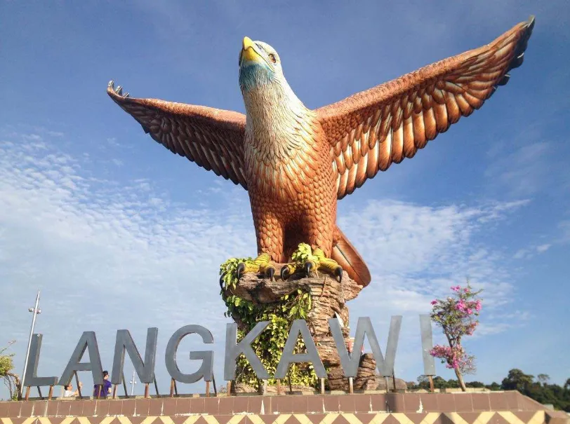 5bac536d4000bd5881fdddc26ab5fefc-sz_1184027