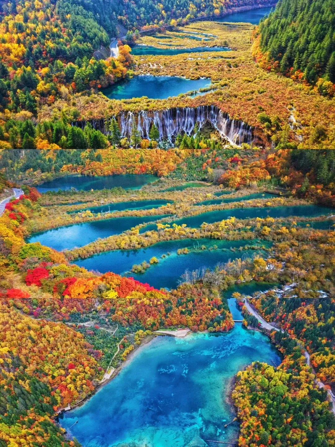 5c0d2ef269e34611f8224db9b4d75f70-sz_758789