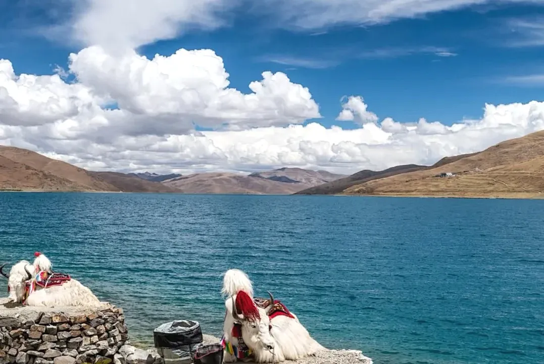 5c22cca5a58c23900581e8a26d739a4c-sz_1877736 5c22cca5a58c23900581e8a26d739a4c-sz_1877736