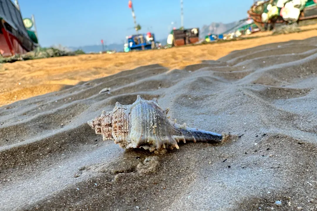 5c44ef5e69f9f83b020ed5d94974dfe0-sz_1995869