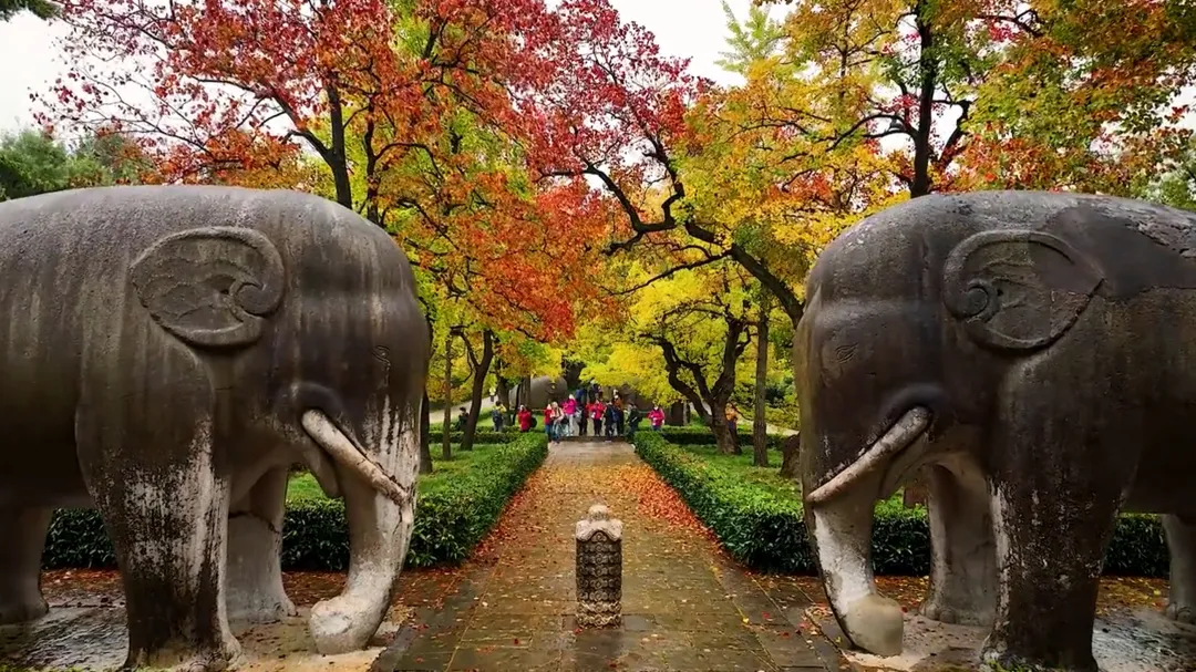 5c53df7e52d29d21b49b265c1ed32b3d-sz_2532494