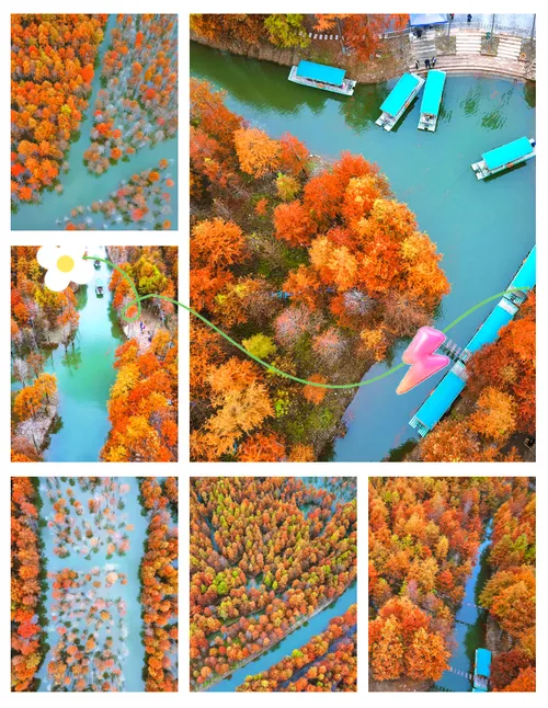 5c6b98115ad44fbe51a24f54b1da635f-sz_737287 5c6b98115ad44fbe51a24f54b1da635f-sz_737287