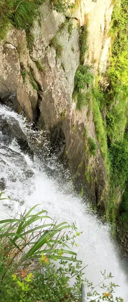 5c714a1e9c74359ebc74a9d6d42446a6-sz_638977 5c714a1e9c74359ebc74a9d6d42446a6-sz_638977