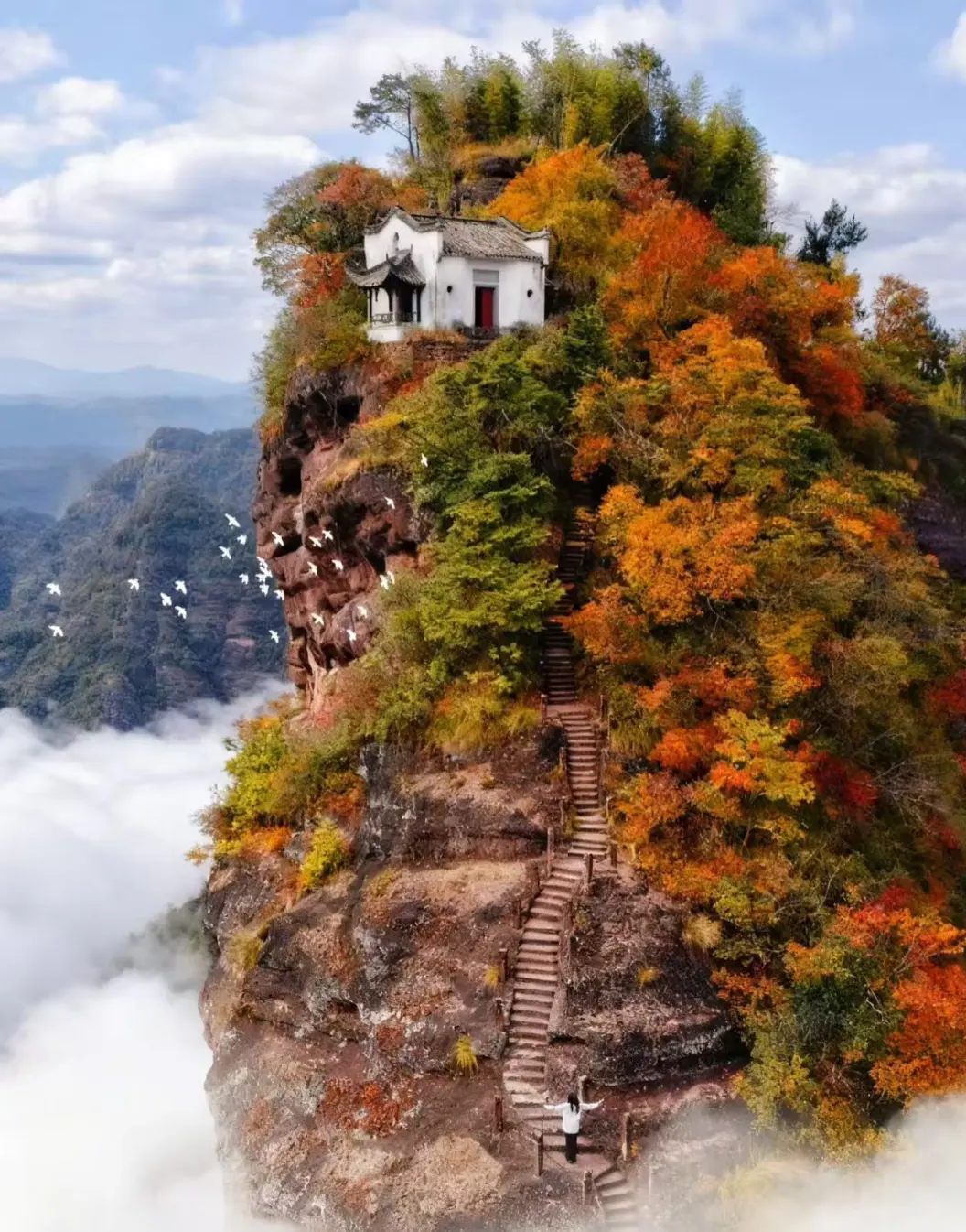 5c7b7238e50b6ff2c1f40464e685c8bd-sz_346118