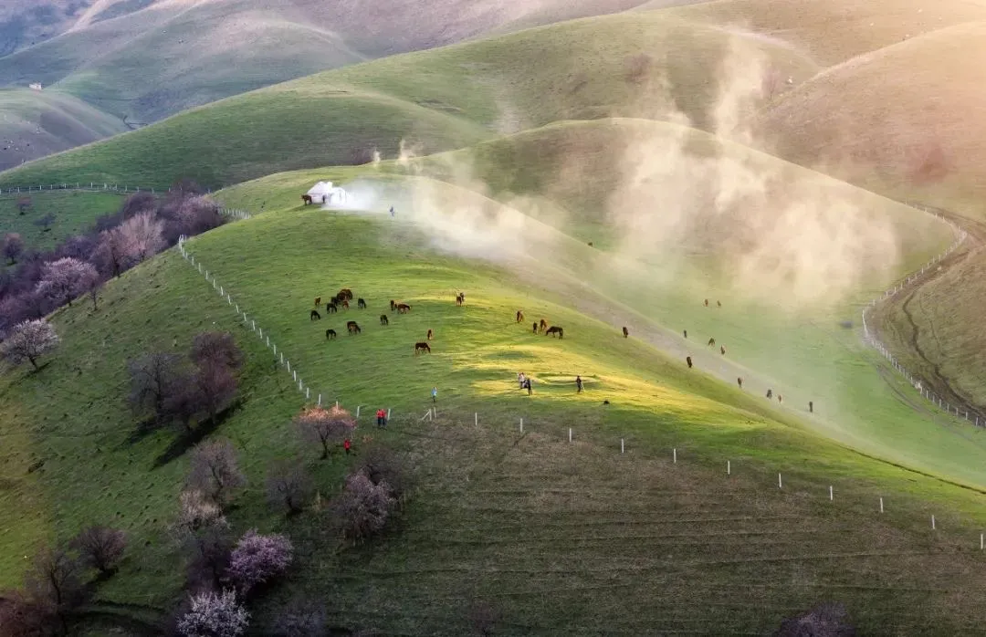 5c8155480c8255656550bbcf917e87f0-sz_183308