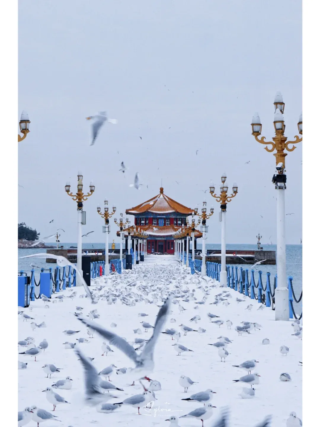 5c81b888ebdd890301e2e996232f193a-sz_1351224