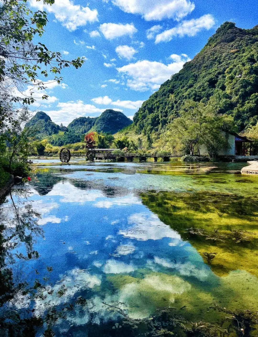 5cbdeeb268ea9a9271ec94672fb9c710-sz_396841