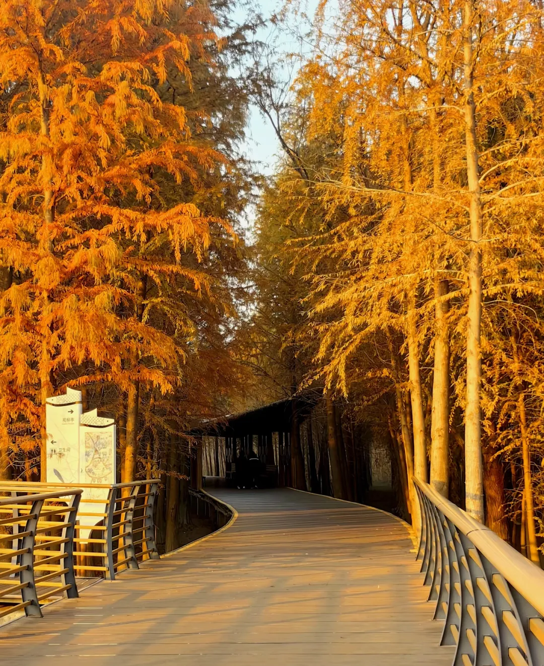 5d4fb10a62f39a1f5c6819e92e148459-sz_2301864 5d4fb10a62f39a1f5c6819e92e148459-sz_2301864