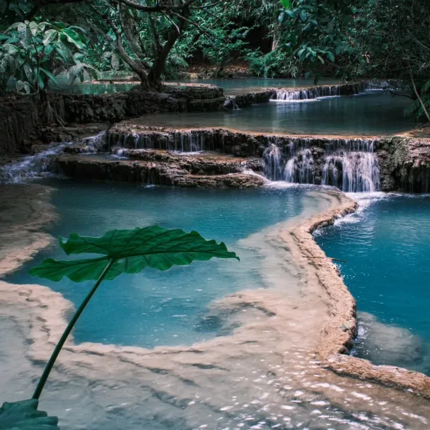 5d6d5fc03f74a294a7a3e70be468897f-sz_612394 5d6d5fc03f74a294a7a3e70be468897f-sz_612394