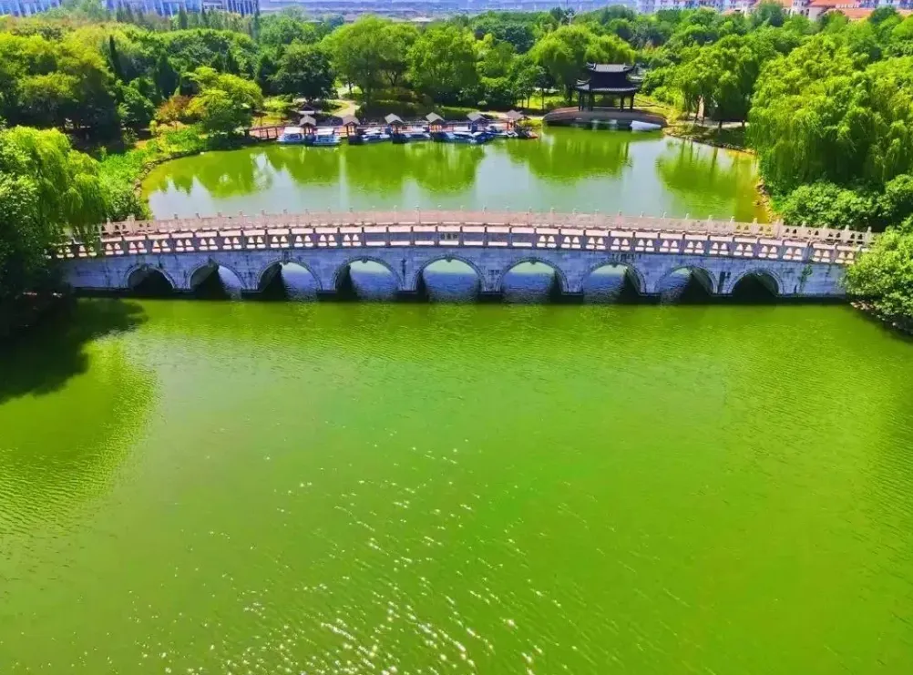 5d88e0e6242516031986b45f821ff266-sz_1284546 5d88e0e6242516031986b45f821ff266-sz_1284546