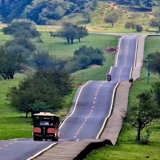 5dc4ce3742e373b26be55c562f179003-sz_1653289