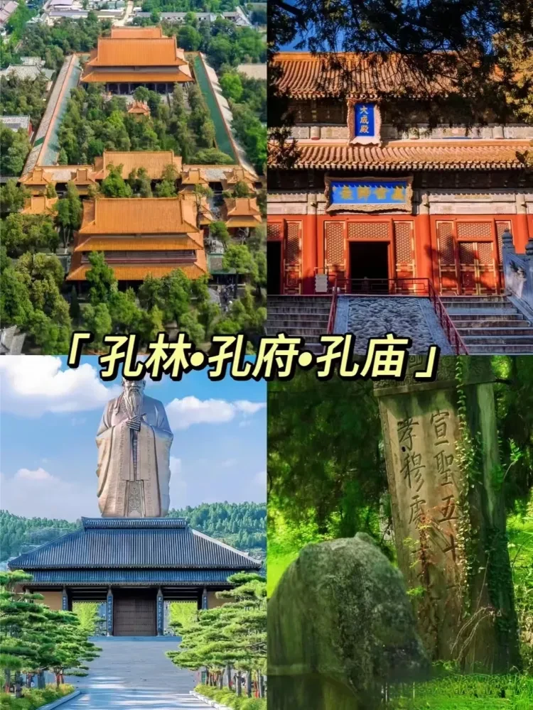 5dc81774a17a8c9eecd5f16cb9374f39-sz_833335 5dc81774a17a8c9eecd5f16cb9374f39-sz_833335