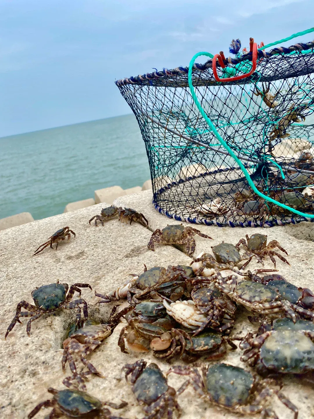 5ddabe107d579a0bf8db586c5a54d2d0-sz_3432336 5ddabe107d579a0bf8db586c5a54d2d0-sz_3432336