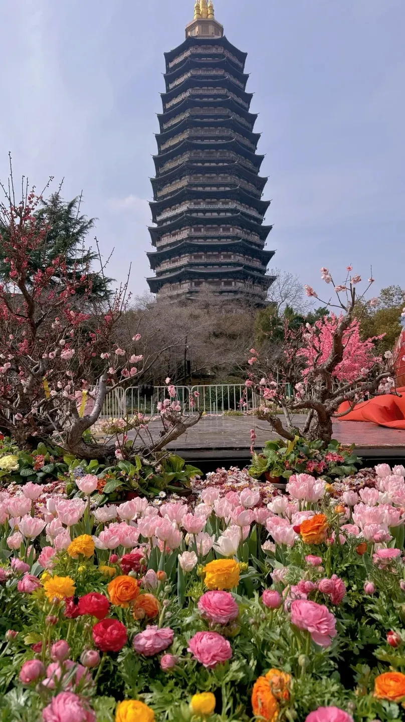 5ddd822b7e900ac34914ab4762e0a695-sz_549081 5ddd822b7e900ac34914ab4762e0a695-sz_549081