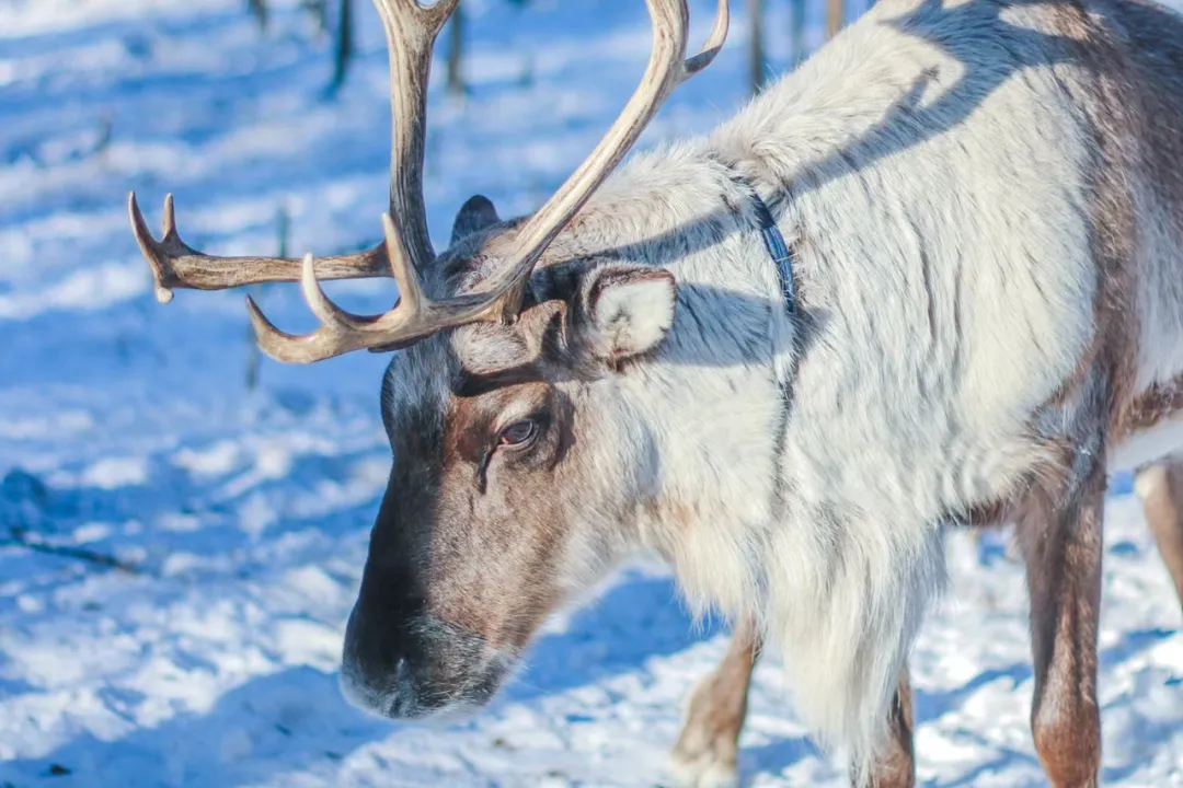 5df875e36b7290bf8a494eb70dbde29d-sz_1307640 5df875e36b7290bf8a494eb70dbde29d-sz_1307640