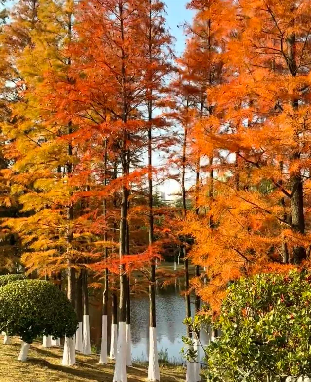 5e505314b2743b7ad996f563d165be90-sz_1292816 5e505314b2743b7ad996f563d165be90-sz_1292816