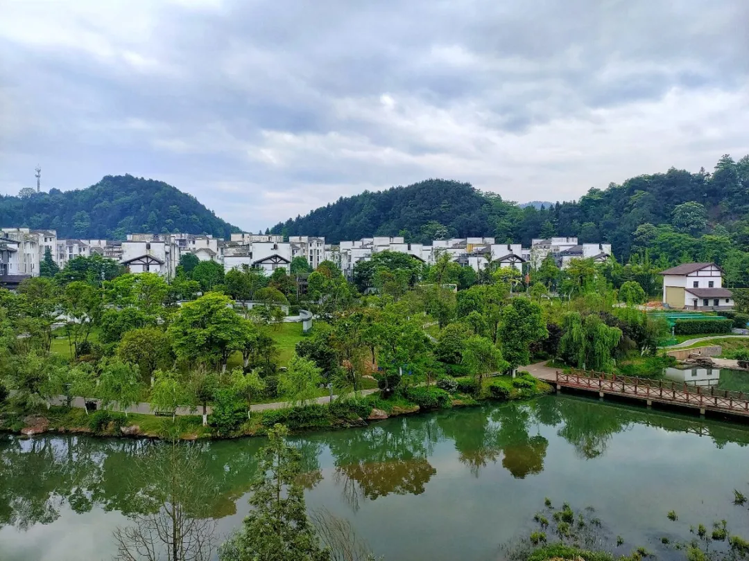 5e81d9dcf6a8d85d32af0dce991516af-sz_381868-1