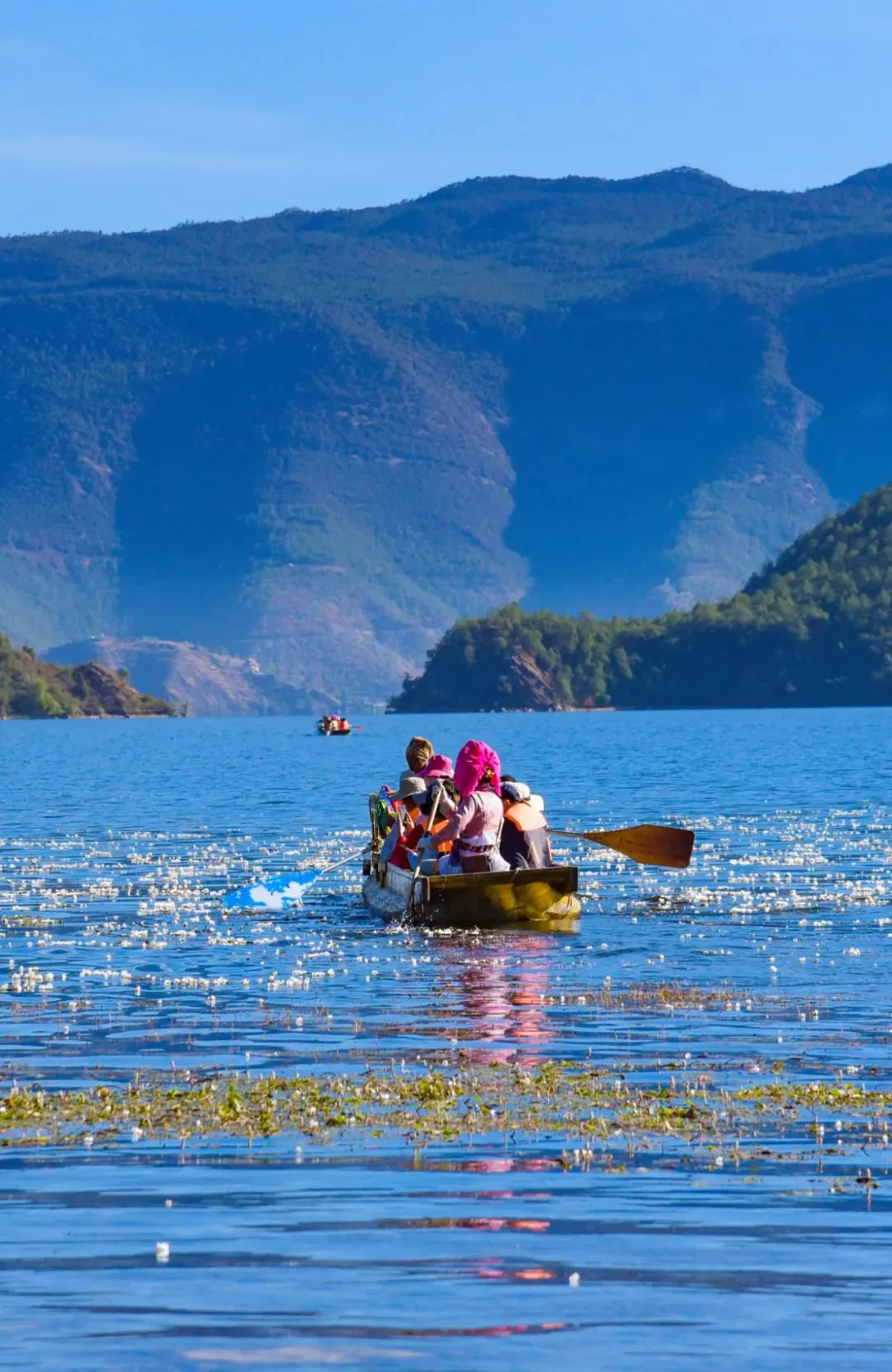 5e9de8570697e7d343162f439c290d2e-sz_244483