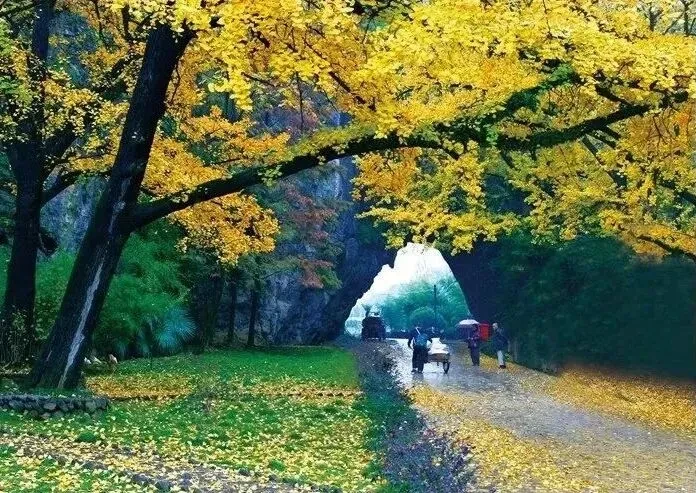 5ed03046a8cc8034a8658f53fbcd2e7d-sz_137610 5ed03046a8cc8034a8658f53fbcd2e7d-sz_137610