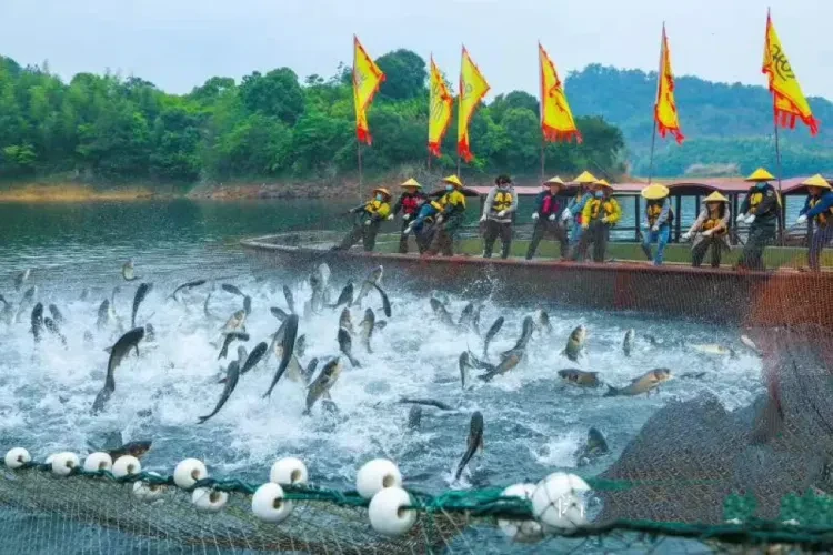 5f8206887b931ceb76049ef2a57341e9-sz_1700273