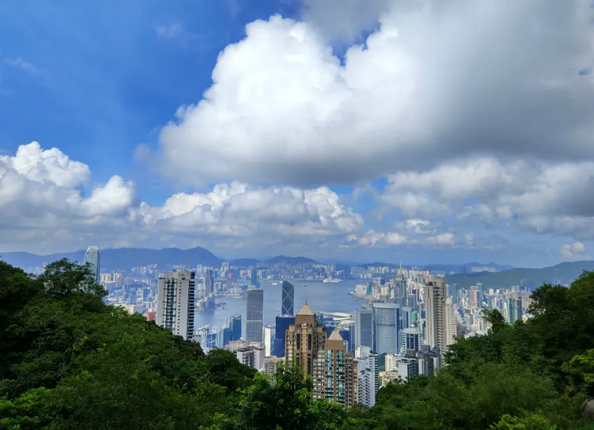 5f90748731b5b363cf6264327a5c810d-sz_1215807-1