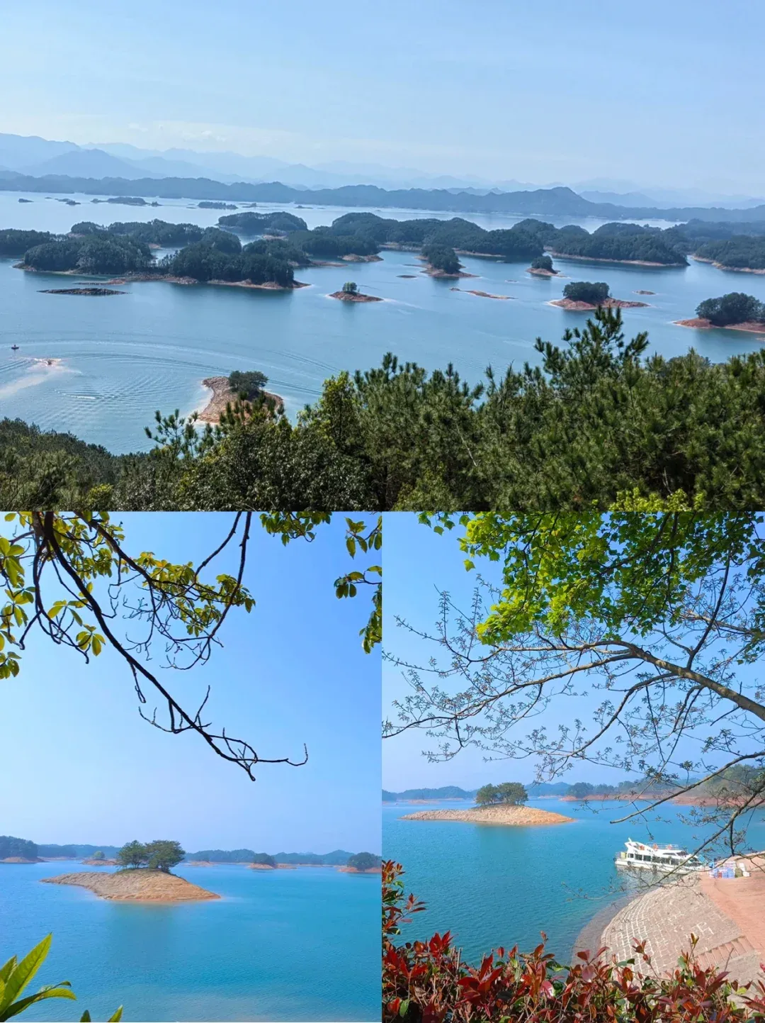 5f91a2f6d570a36a1fba9f4d6a91a7f9-sz_2515967-1