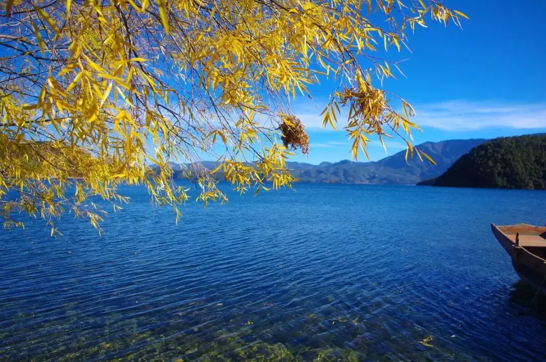 5f97f988df18121ef55f4a1a0c909f13-sz_192226