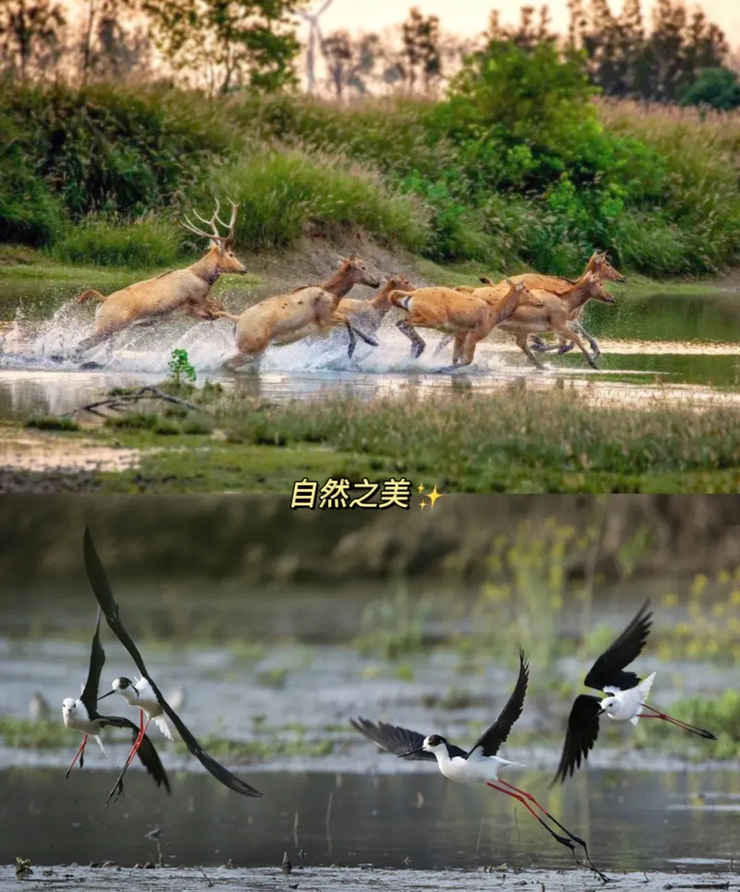 5fbf163f1c907c78876be93a30267cee-sz_356419-2 5fbf163f1c907c78876be93a30267cee-sz_356419-2