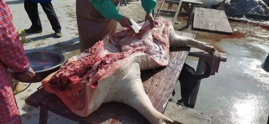 5fc19a93a6834b3dd6e5da0ec13413d1-sz_102281