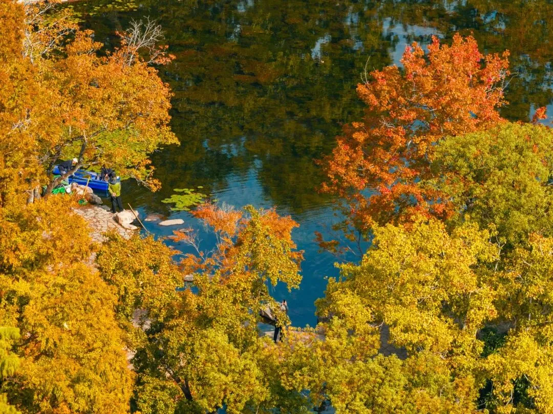 5fd70e84ae986ecfc6658c6878508c03-sz_295147 5fd70e84ae986ecfc6658c6878508c03-sz_295147