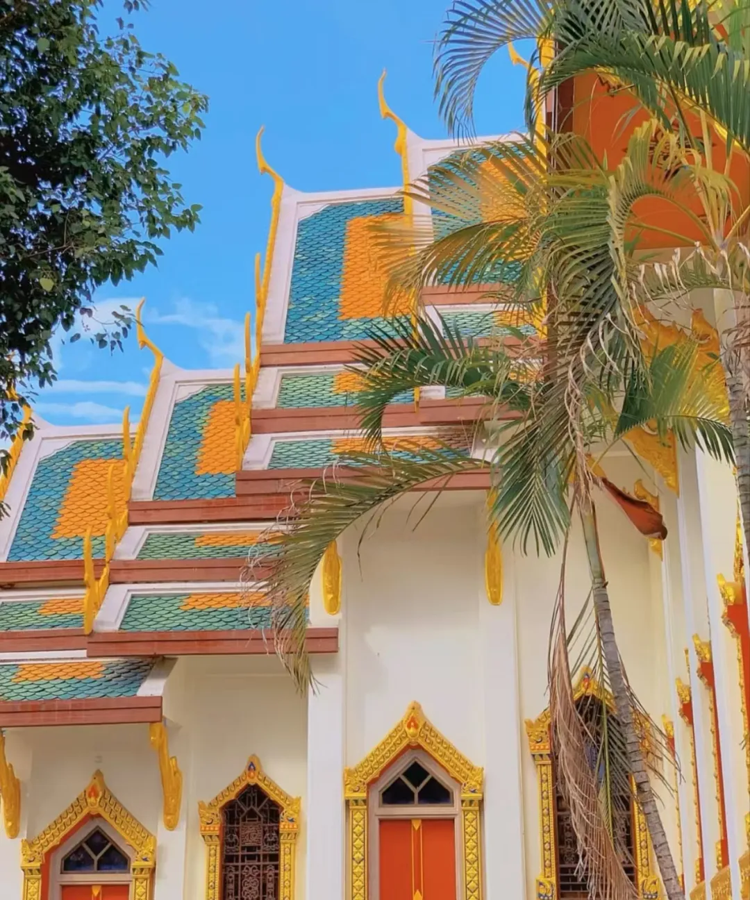 5fdfa30e16d6974ca109f844b51a6cd2-sz_1192378 5fdfa30e16d6974ca109f844b51a6cd2-sz_1192378