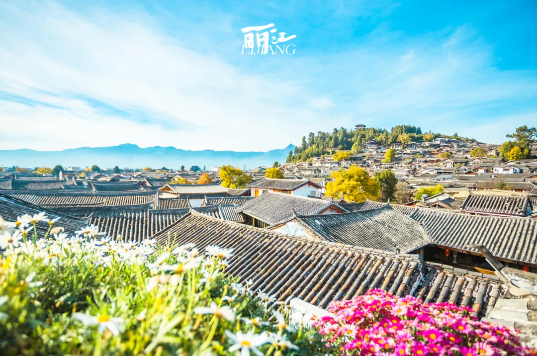 5ffbd8958cd368288e7707111a86dcf5-sz_3483436-2