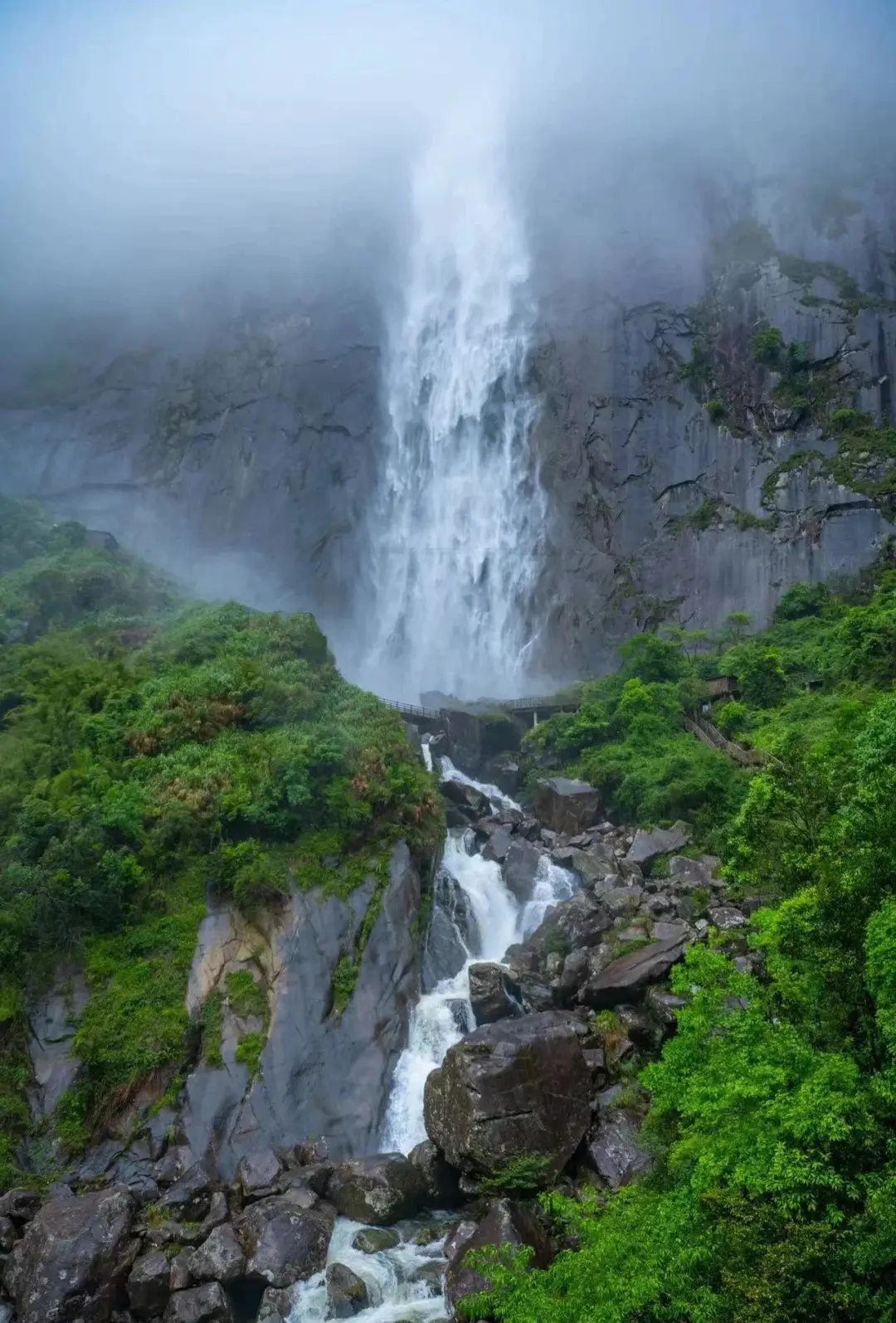 601777fc9baff700dc80af73f37c8420-sz_336267