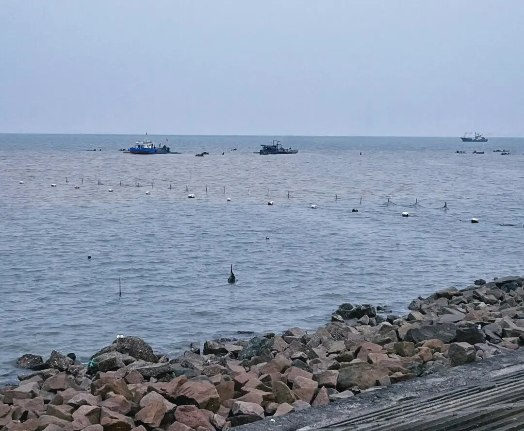 60250d199467d8cbfe94e8921e0d6279-sz_178493 60250d199467d8cbfe94e8921e0d6279-sz_178493