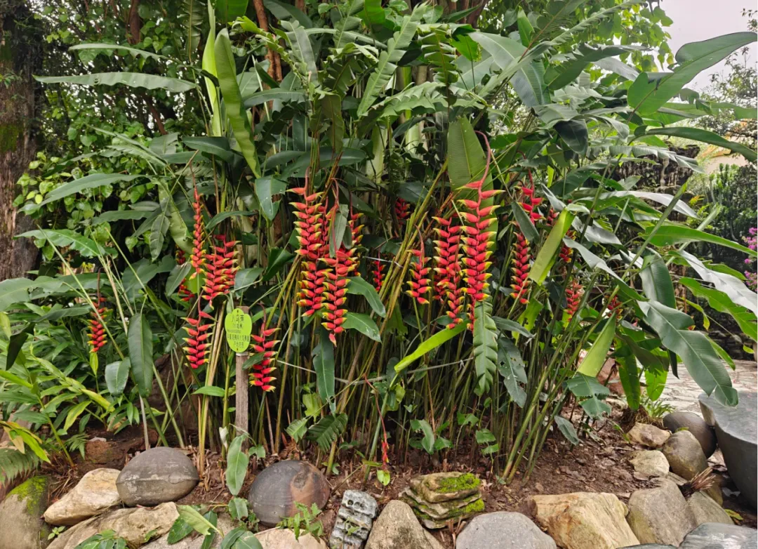 60266606f5967a99172a9eccde8eaf50-sz_4008309-1 60266606f5967a99172a9eccde8eaf50-sz_4008309-1