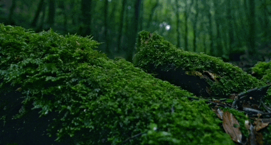 60658dc21536569adc72d30c76f9755b-sz_2621991