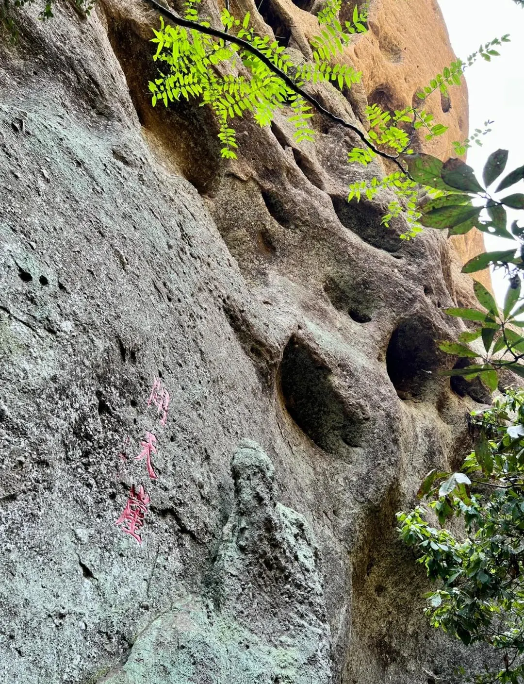 60ce81815690cf6916796632e0490e95-sz_508012