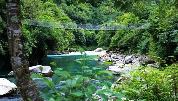 60cfe60b15fc2468094d09f4fb415789-sz_66492